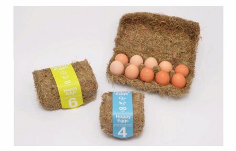 خرید و فروش لیزر دایود و الکساندرایت چه مواد غذایی را میتوان جایگزین تخم مرغ کرد
